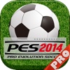 Evolution Soccer 2014 - Multiplayer Soccer Football World PRO