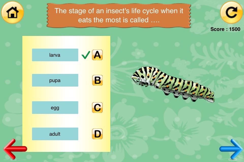 4th Grade Science Quiz # 1 for home school and classroom screenshot 2