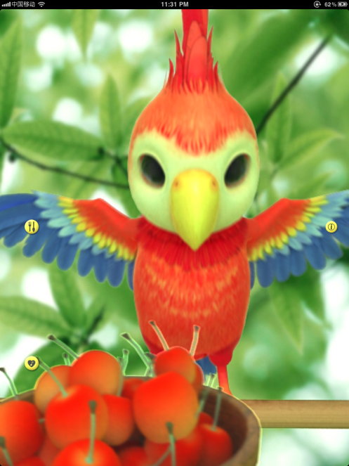 会说话的鹦鹉波利 talking polly the parrot hd free