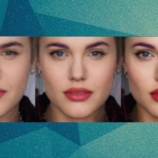 FaceFilm Pro