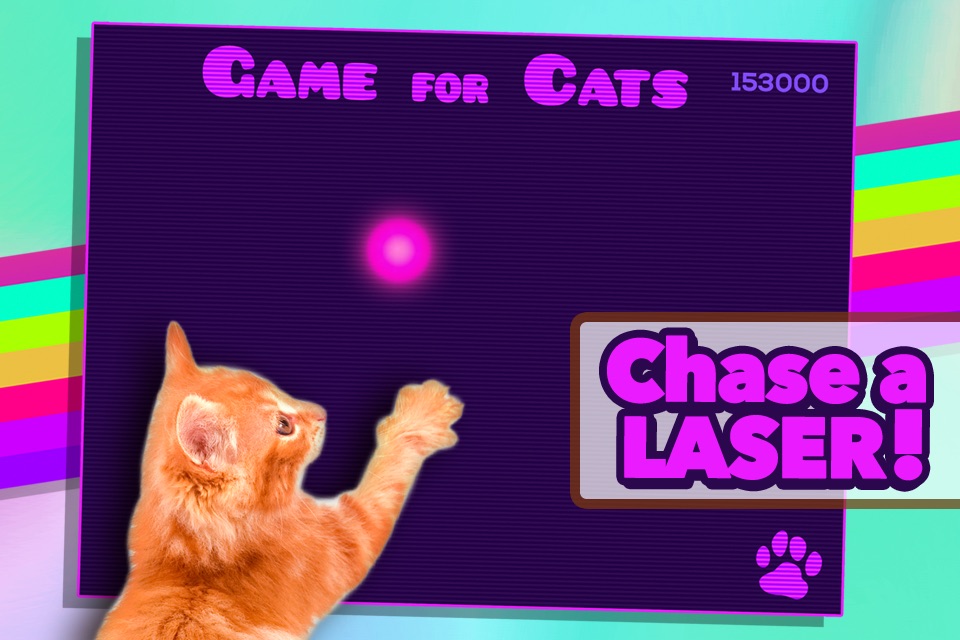 Game for Cats screenshot 2