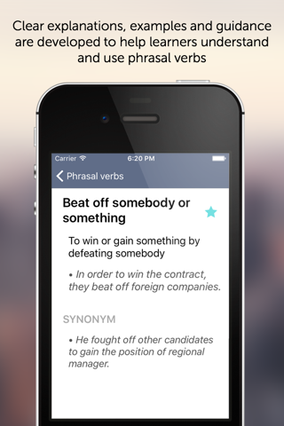 Phrasal Verbs for Business screenshot 2