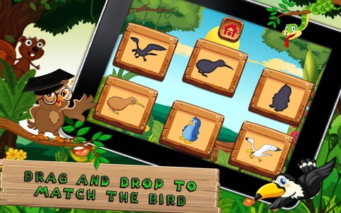 Which Bird - Kids e-Learning screenshot 4