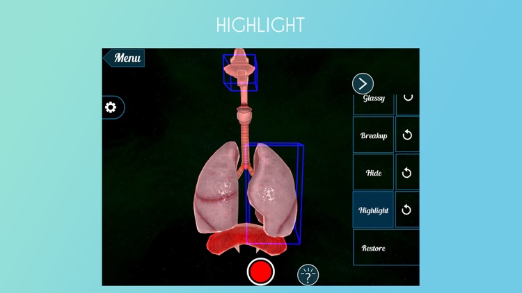 Virtual Reality(VR)Human Lungs