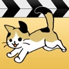 CatTube - cats, kittens video viewer