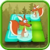 Cute Animal Safari Free Flow Hunting Game - Multi player Version