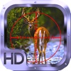 Whitetail Deer Hunter