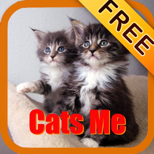 Cats Me - Cats Effects FREE icon