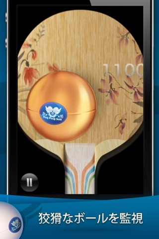 PingPongSolo screenshot 4