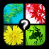 Picmixed: 100 PICS Quiz, the biggest free guess the hidden picture puzzles trivia game EVER!