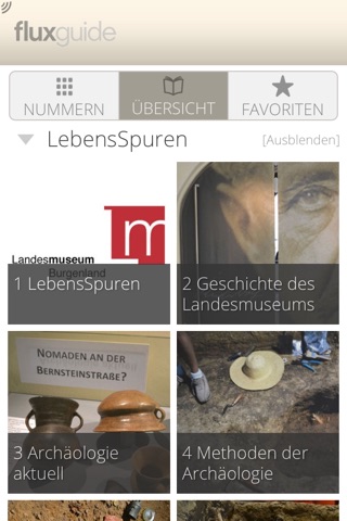 Landesmuseum Burgenland screenshot 2