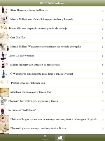 Gin and Tonic Recipes HD screenshot 3