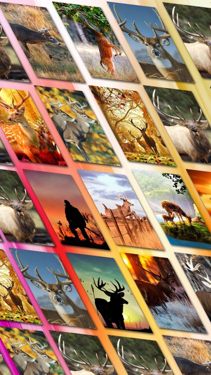 HD Deer Hunting Lock Screens & Wallpapers