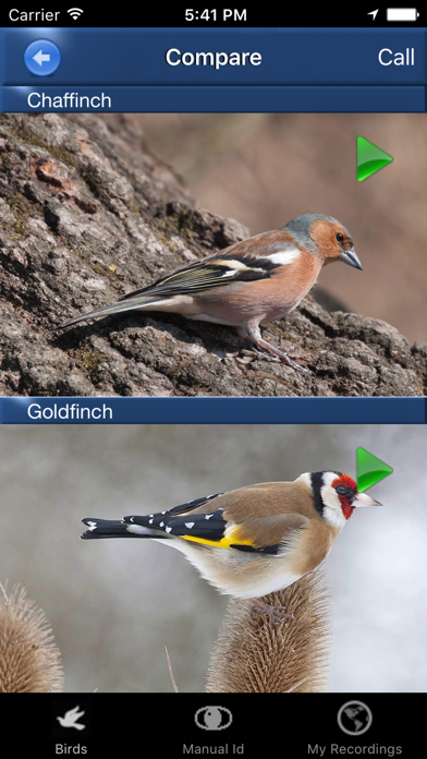 Bird Song Id Automatic Recognition & Reference - Birds of the British Isles Screenshot 3