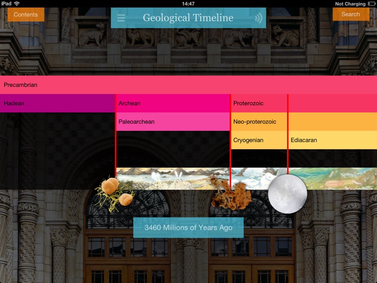 NHM Evolution