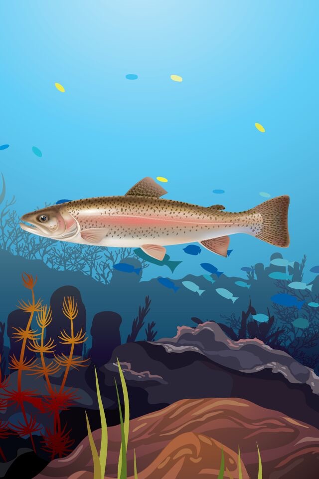 Marketable Fish Flashcards: English Vocabulary Learning Free For Toddlers & Kids! screenshot 3