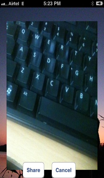 FT Australian Duck Calls