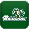 Reno Bighorns