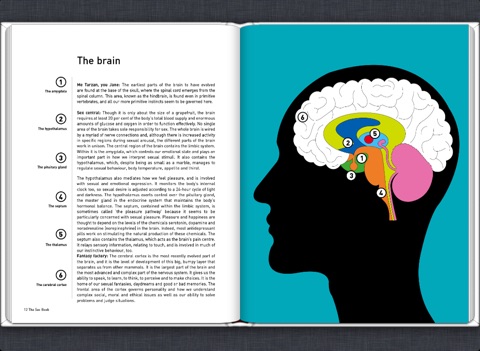 And Sex on the brain book all clear Sex on the brain book
