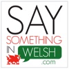 SaySomethingInWelsh