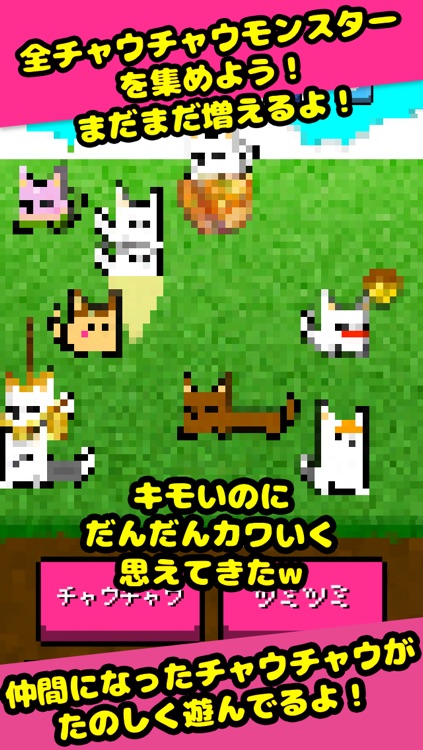 チャウチャウちゃうんちゃう！？　あつめるチャウチャウモンスターズ