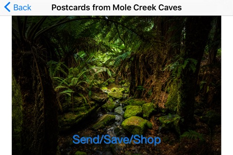 Postcards from Mole Creek Caves screenshot 4