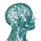 Taking clinical skills education to the next level