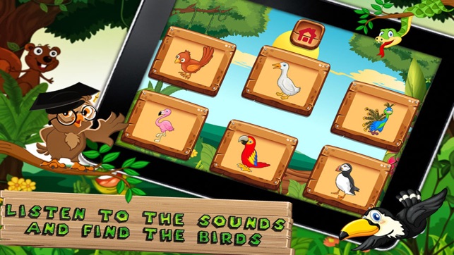 Which Bird - Kids e-Learning(圖3)-速報App