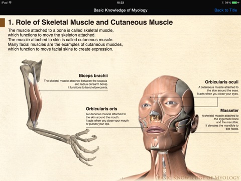 DS ANATOMY HEAD & NECK screenshot 4