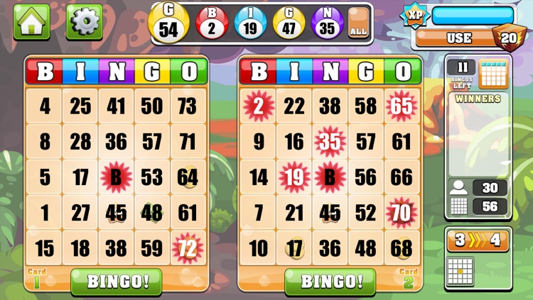 Bingo Casino!!™ screenshot-3