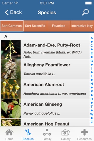 GSM Wildflowers screenshot 2