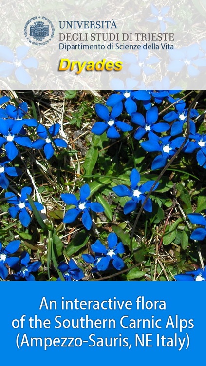 An interactive flora of the Southern Carnic Alps (Ampezzo-Sauris, NE Italy)