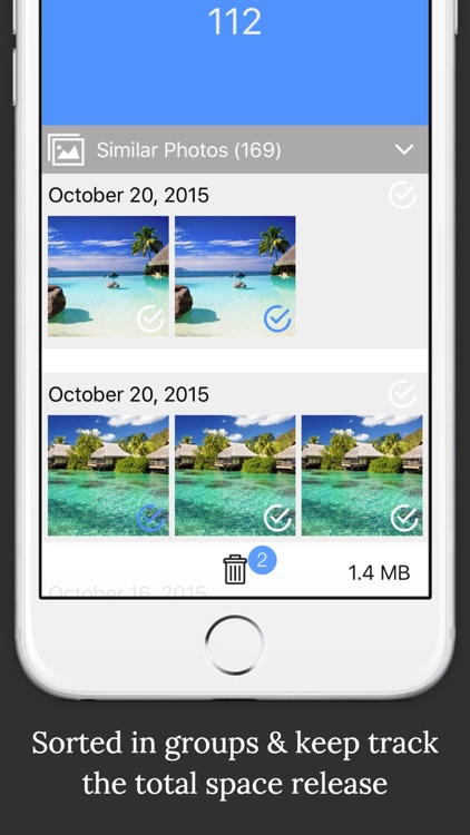 BeetleCam Gallery Cleaner - Duplicate Photos Fixer & Similar Photo Cleanup