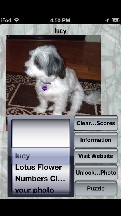 Your Photo Shuffle Puzzle