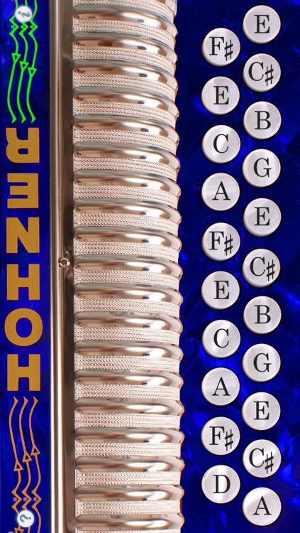 Hohner-D/G Mini Button Accordion