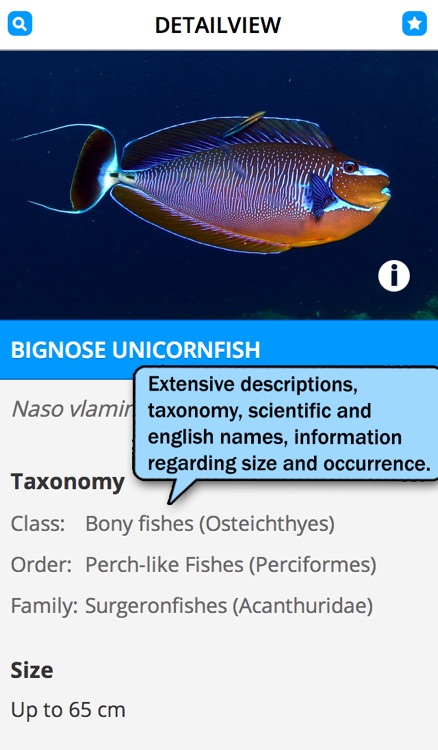 FischFinder – Wordwide Fish ID, Fish Guide and Reef Guide