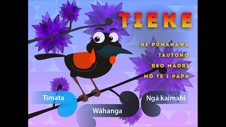 Tieke