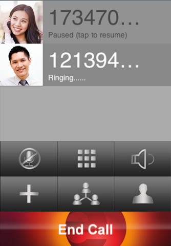 DynaSky VoIP screenshot 3