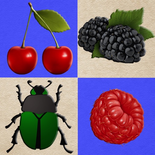 Berries and Bugs. Collect berries and do not touch the bugs! Icon