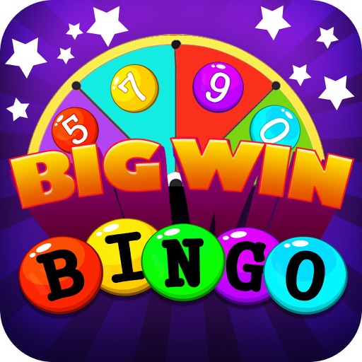 Bingo Big Win Pro icon