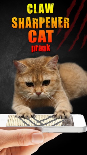 Claw Sharpener Cat Prank(圖3)-速報App