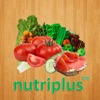 NutriPlus Lite