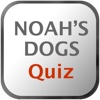 Noah's Dogs Trivia Quiz