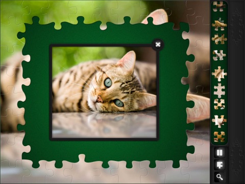Jigsaw Puzzles: Funny Cats screenshot 3