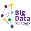 Big Data Strategy