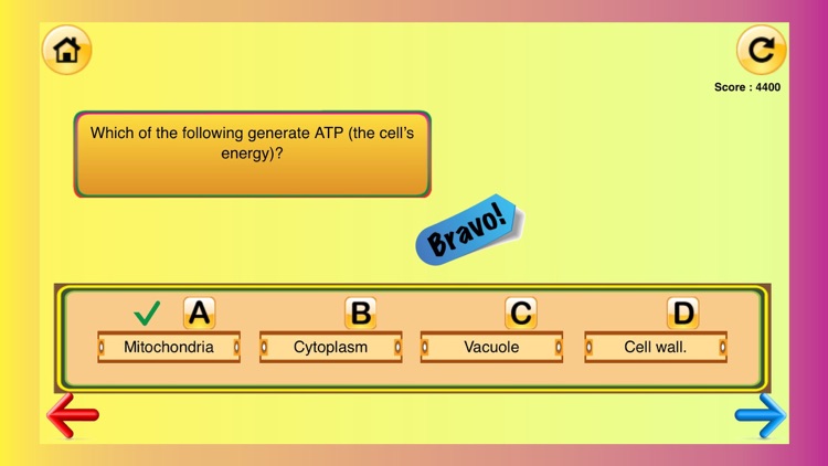 6th Grade Science Quiz # 2 : Practice Worksheets for home use and in school classrooms