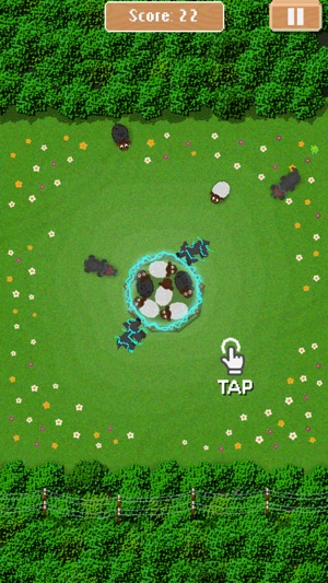 Sheep Shield(圖3)-速報App