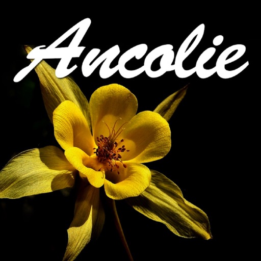 Ancolie Fleurs