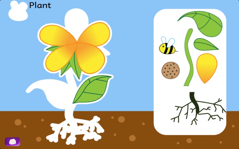 Naming Plant and Animal Parts thumbnail 2