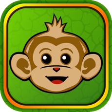 Activities of Monkey Bridge Escape